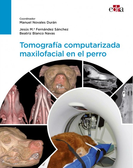 Tomografía Computarizada Maxilofacial en el Perro