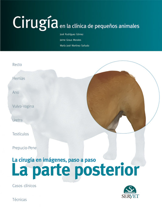 La Cirugía en Imágenes, paso a paso. La Parte Posterior