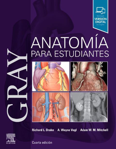 GRAY Anatomía para estudiantes