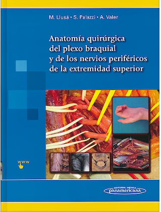 Anatomía Quirúrgica del Plexo Braquial y de los Nervios Periféricos de la Extremidad Superior