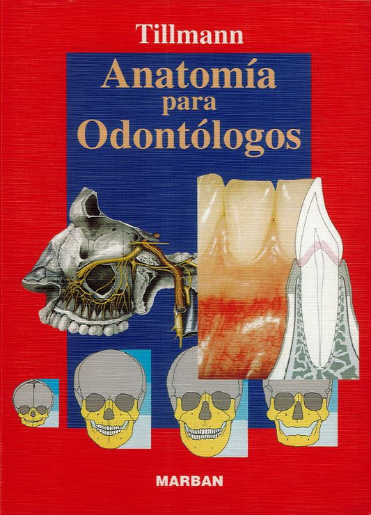 TILLMANN Anatomía para Odontólogos