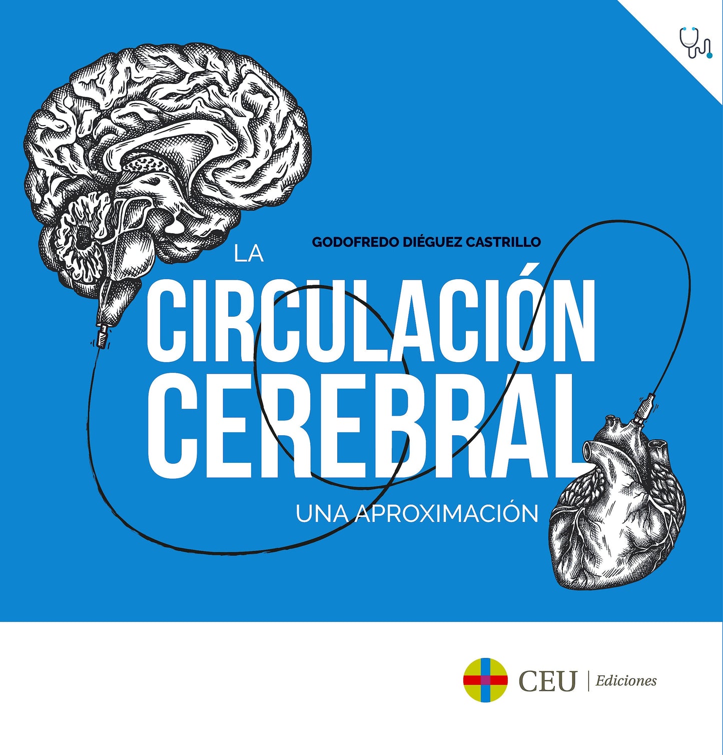 La circulación cerebral