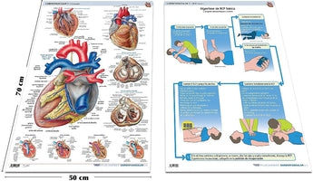 Pack 2 Láminas - Cardiología ISBN: Marban Libros