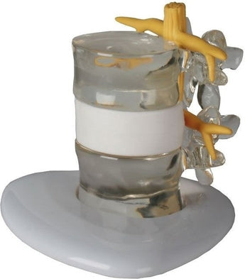 SKU: 4400 - SIMULADOR HERNIA DE DISCO ISBN: SKU: 4400 Marban Libros