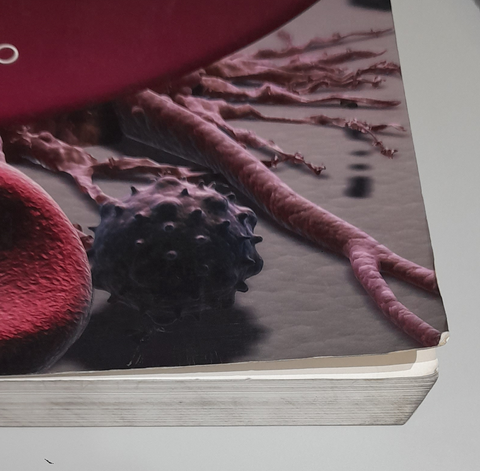 Harrison´s Hematology and Oncology