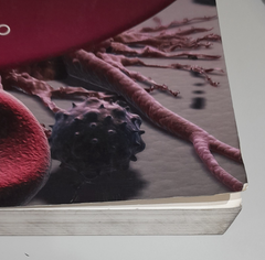 Harrison´s Hematology and Oncology