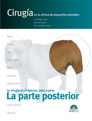 La Cirugía en Imágenes, paso a paso. La Parte Posterior