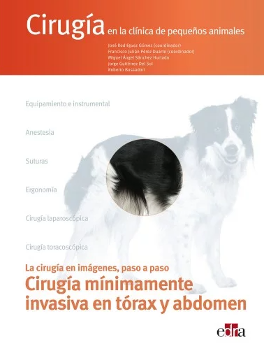 Cirugía Mínimamente Invasiva en Tórax y Abdomen. Cirugía en la Clínica de Pequeños Animales