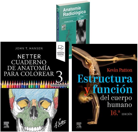 LOTE NETTER Cuaderno de Anatomía para Colorear + PATTON Estructura y Función del Cuerpo Humano + MOLLER Anatomía Radiológica