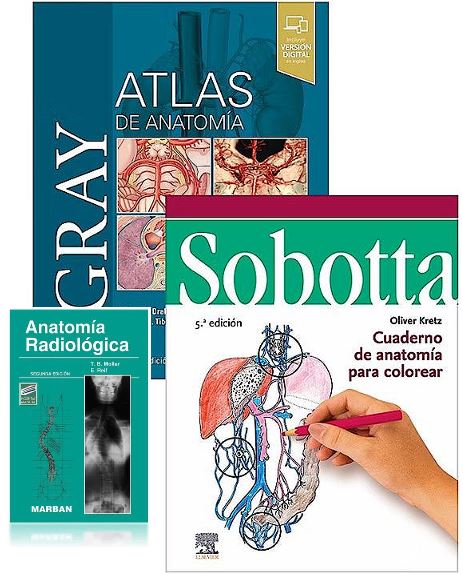 LOTE GRAY Atlas de Anatomía + SOBOTTA Cuaderno de Anatomía para Colorear + MOLLER Anatomía Radiológica