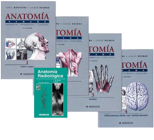 ROUVIERE Anatomía humana 4 Vols + MOLLER Anatomía Radiológica