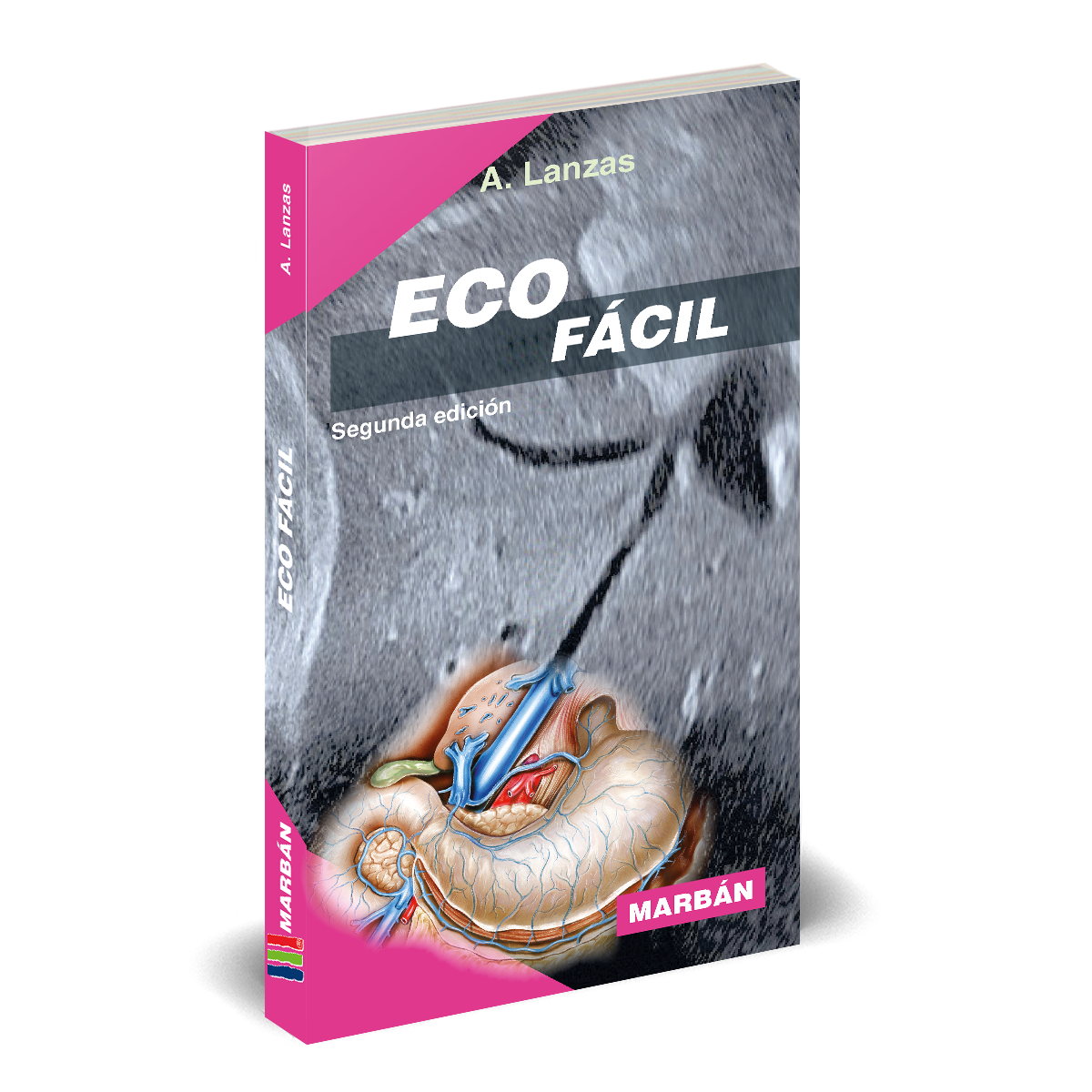 ECO Fácil  2ª ed. - Lanzas