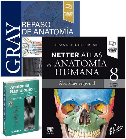 Lote GRAY Repaso de Anatomía + NETTER Atlas de Anatomía Humana + MOLLER Anatomía Radiológica