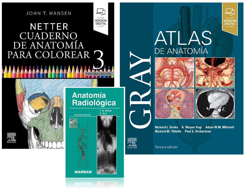 LOTE GRAY Atlas de Anatomía + NETTER Cuaderno de Anatomía para Colorear + MOLLER Anatomía Radiológica