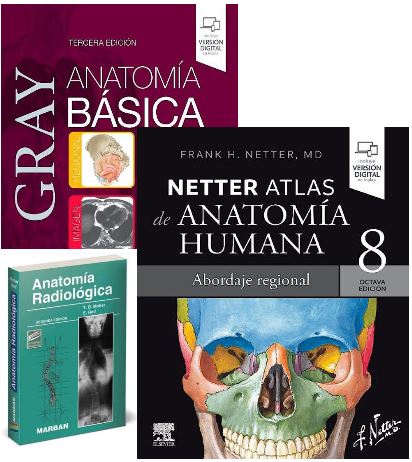 Lote GRAY Anatomía Básica + NETTER Atlas de Anatomía + MOLLER Anatomía Radiológica de Obsequio