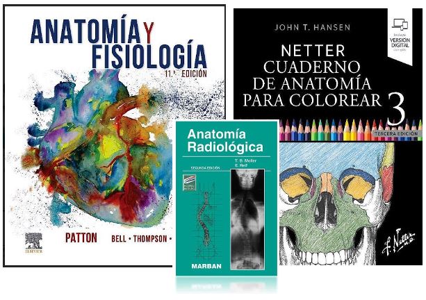 LOTE NETTER Cuaderno de Anatomía para colorear + PATTON Anatomía y Fisiología + MOLLER Anatomía Radiológica