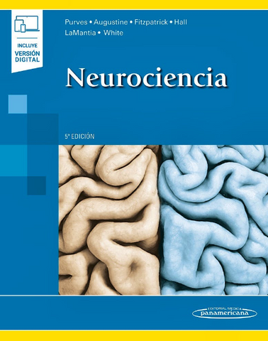 Neurociencia