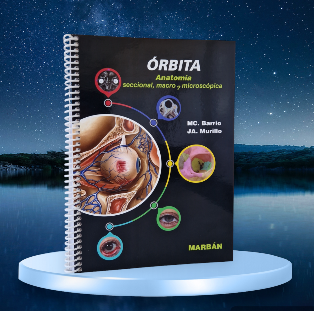 Órbita. Anatomía seccional, macro y microscópica