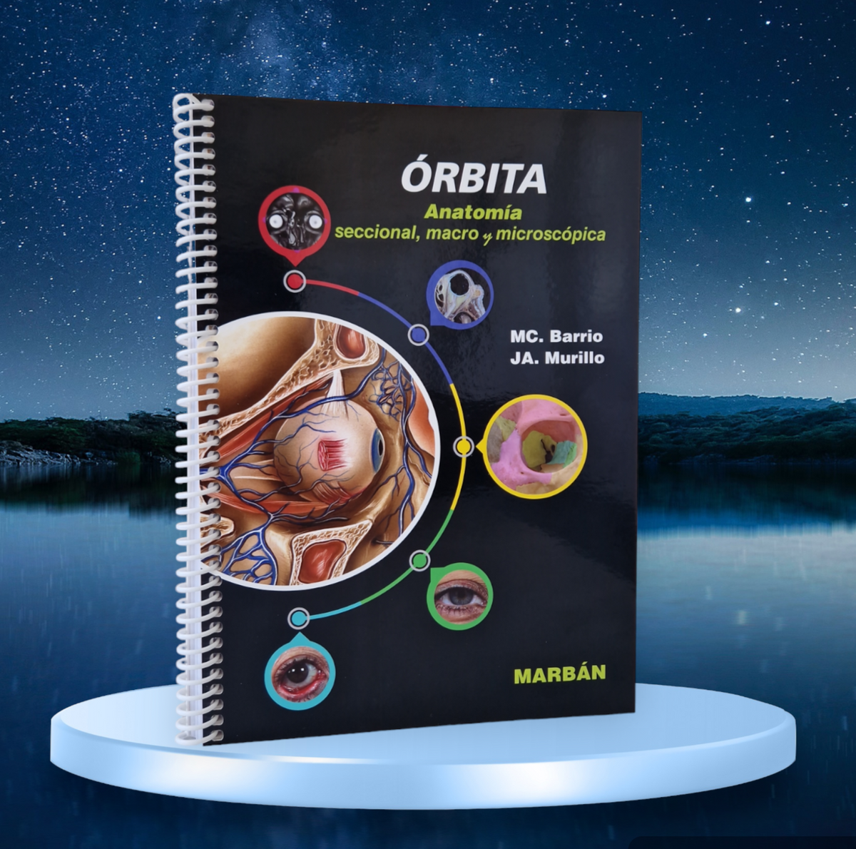Orbita Rrethor Órbita. Anatomía seccional, macro y microscópica – Marbán Libros