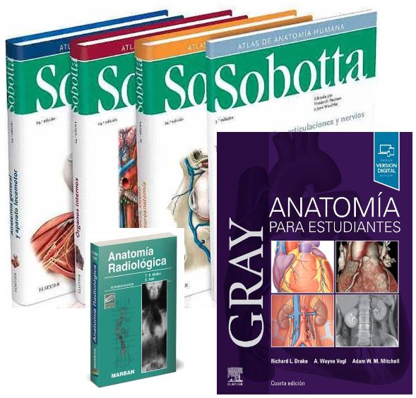 Lote SOBOTTA Atlas de Anatomía Humana 3 Vols. + GRAY Anatomía para Estudiantes + MOLLER Anatomía Radiológica