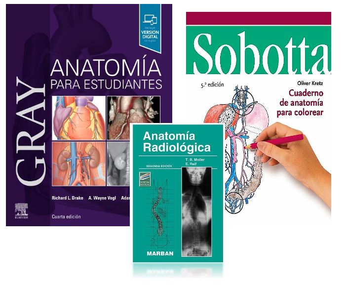 LOTE GRAY Anatomía para Estudiantes + SOBOTTA Cuaderno de Anatomía para Colorear + MOLLER Anatomía Radiológica
