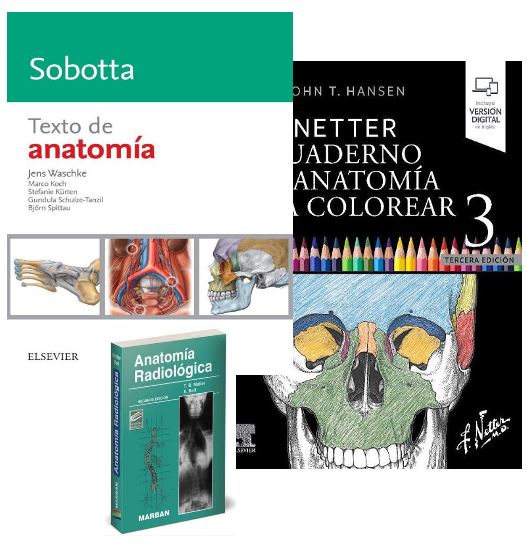 Lote NETTER Cuaderno de Anatomía para Colorear + SOBOTTA Texto de Anatomía + MOLLER Anatomía Radiológica