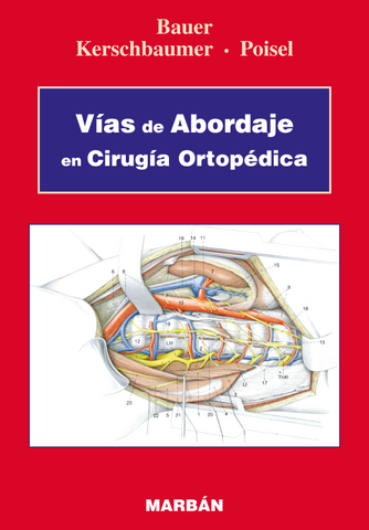 Vías de Abordaje en Cirugía Ortopédica - Bauer