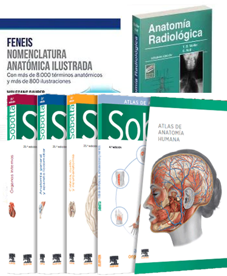 Lote FENEIS Nomenclatura Anatómica + SOBOTTA Atlas de Anatomía + MOLLER Anatomía Radiológica