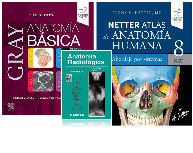 LOTE GRAY Anatomía Básica + Netter Atlas Anatomía Humana por Sistemas + MOLLER Anatomía Radiológica