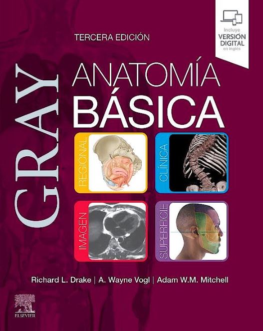 GRAY Anatomía Básica