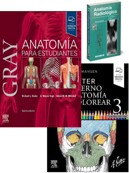 Lote GRAY Anatomía para Estudiantes + NETTER Colorear + MOLLER Anat. Radiológica de Obsequio