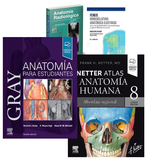Lote GRAY Anatomía para Estudiantes + FENEIS Nomenclatura + NETTER Atlas de Anatomía + MOLLER Anatomía Radiológica