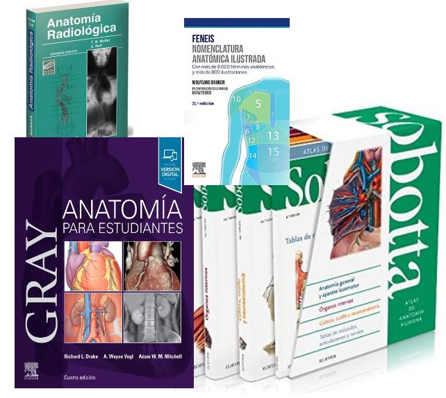 Lote SOBOTTA Atlas de Anatomía 3 Vols. + GRAY Anatomía para Estudiantes + FENEIS Nomenclatura + MOLLER Anatomía Radiológica