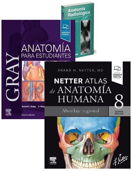Lote NETTER Atlas de Anatomía + GRAY Anatomía para Estudiantes + MOLLER Anatomía Radiológica