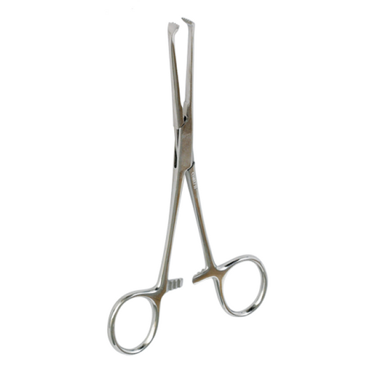 Pinza Allis de 16 cm