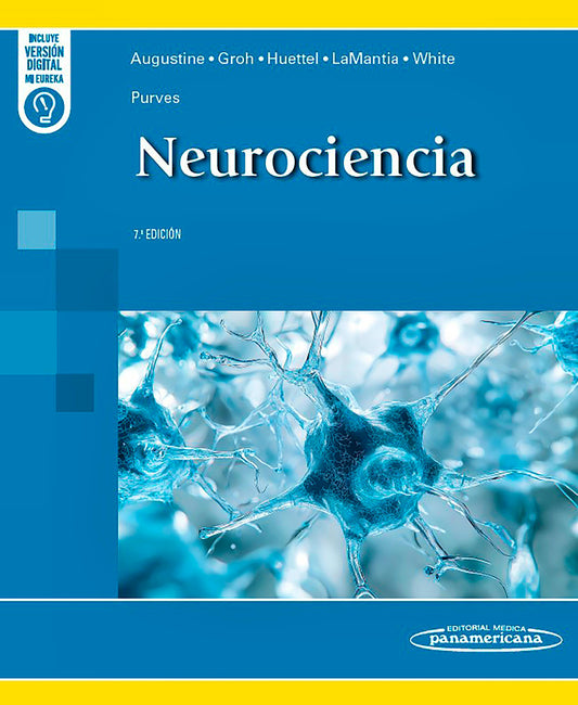 PURVES Neurociencia