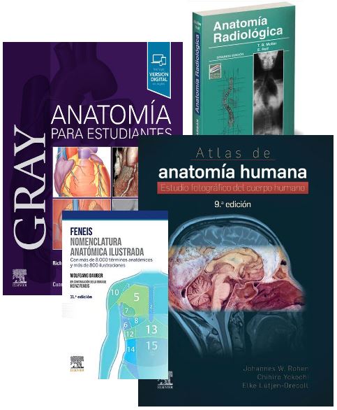 Lote GRAY Anatomía para Estudiantes + FENEIS Nomenclatura Anatómica + ROHEN Atlas de Anatomía + MOLLER Anatomía Radiológica