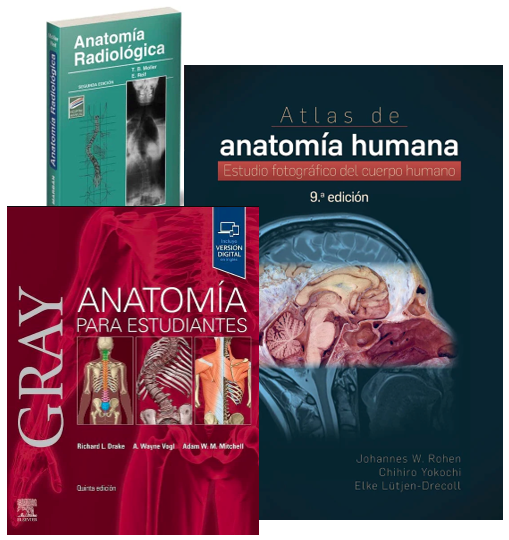 Lote GRAY Anatomía para Estudiantes + ROHEN Atlas de Anatomía Humana + MOLLER Anatomía Radiológica