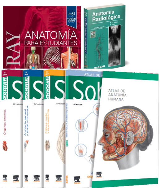 Lote SOBOTTA Atlas de Anatomía Humana 3 Vols. + GRAY Anatomía para Estudiantes + MOLLER Anatomía Radiológica