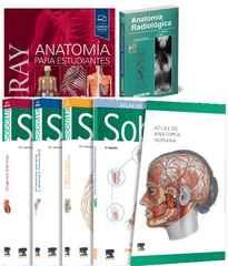 Lote SOBOTTA Atlas de Anatomía Humana 3 Vols. + GRAY Anatomía para Estudiantes + MOLLER Anatomía Radiológica