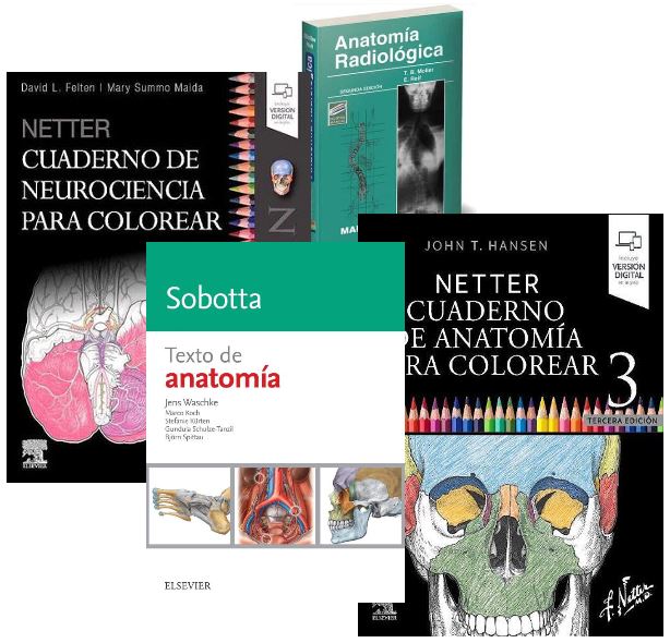 Lote NETTER Cuaderno de Neurociencia para Colorear + NETTER Cuaderno de Anatomía para Colorear + SOBOTTA Texto de Anatomía + MOLLER Anatomía Radiológica