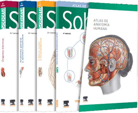 SOBOTTA Atlas de Anatomía Humana  25ª Ed.  (3 Vols. + Tablas)