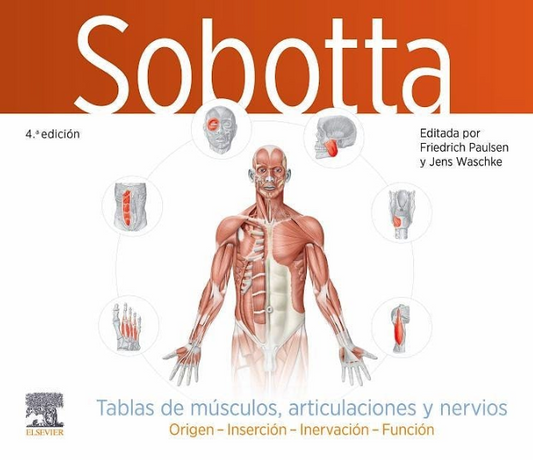 SOBOTTA Tablas de Músculos, Articulaciones y Nervios