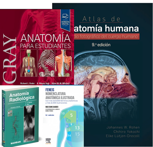 Lote GRAY Anatomía para Estudiantes + FENEIS Nomenclatura Anatómica + ROHEN Atlas de Anatomía + MOLLER Anatomía Radiológica