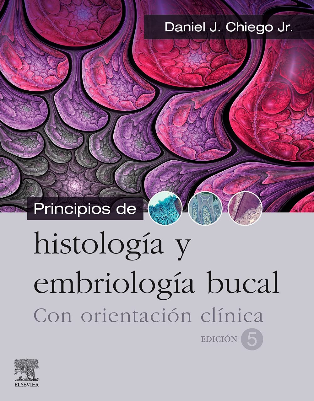 Principios de Histología y Embriología Bucal con Orientación Clínica