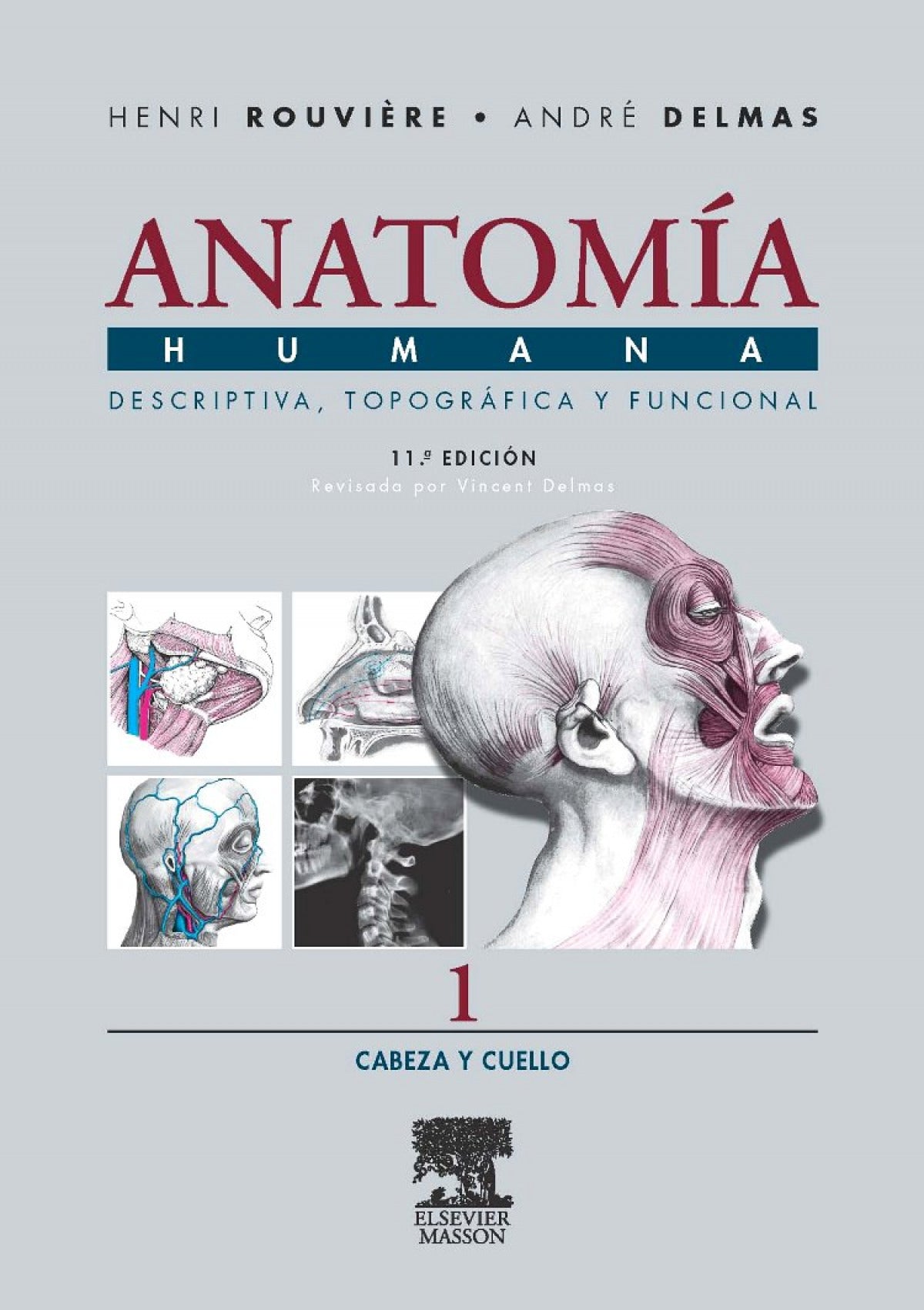 ROUVIÉRE-DELMAS Anatomía Humana . Cabeza y cuello. Vol. 1