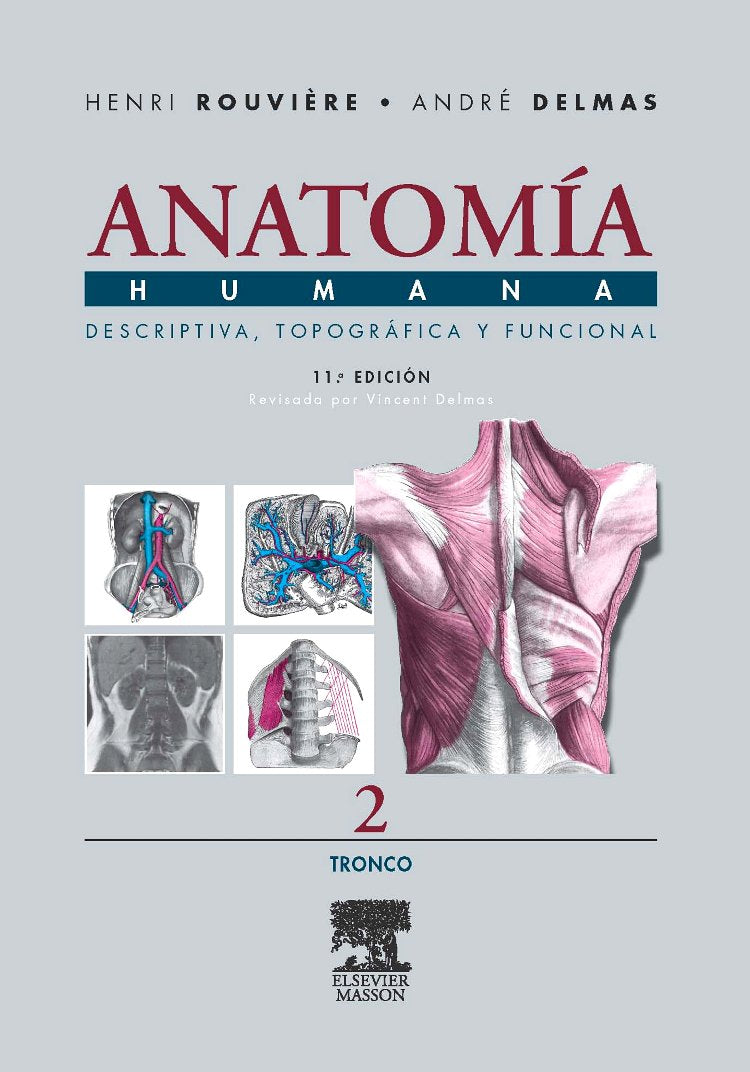 Anatomía Humana  Tronco  Vol. 2