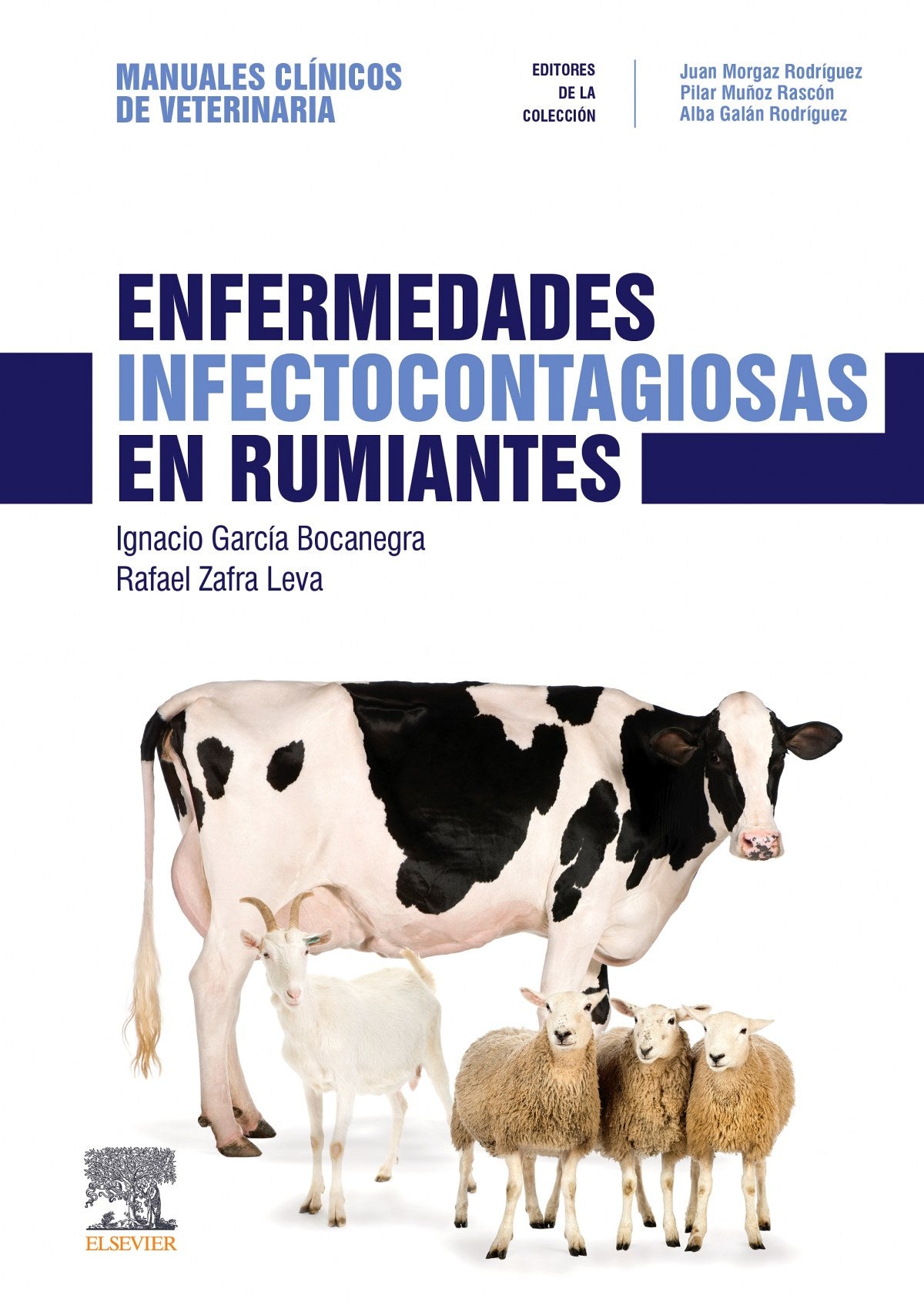Enfermedades infectocontagiosas en rumiantes: Manuales clínicos de Veterinaria