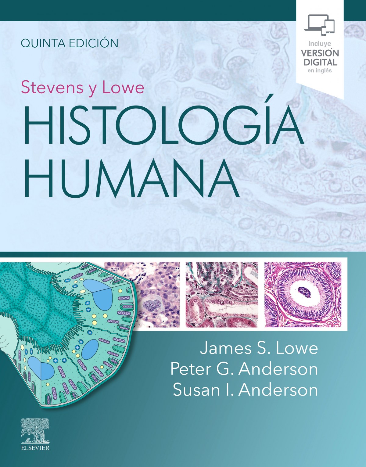 Stevens y Lowe Histología Humana