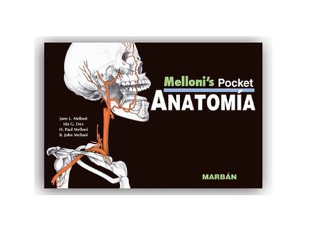 Anatomía - Pocket